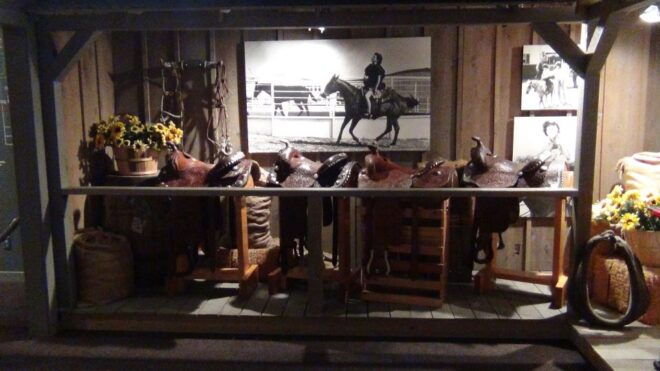 Dallas: Southfork Ranch, Dallas Highlights, and JFK Tour - Visit to Dealey Plaza