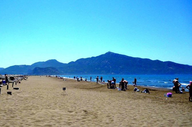 Dalyan Day Trip From Bodrum to Dalyan River Cruise, Iztuzu Beach With Mud Baths - Indulge in Mud Baths and Hot Springs