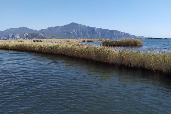 Dalyan Mud Bath and Turtle Beach From Sarigerme - Directions