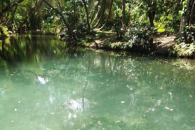 Damajagua the 7 Waterfalls Excursion - Amber Cove & Taino Bay - Start Time and End Point