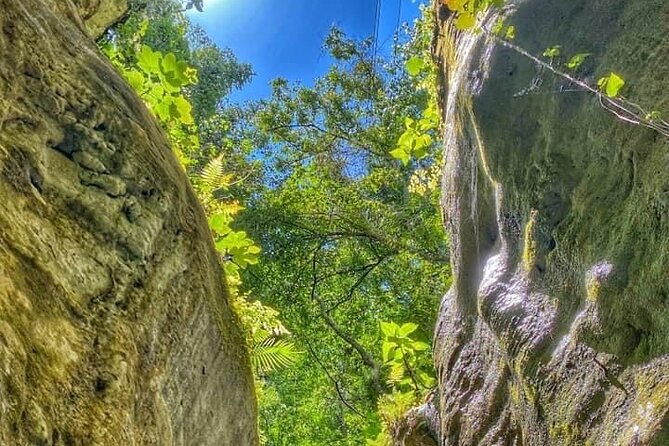 Damajagua the 7 Waterfalls Excursion - Amber Cove & Taino Bay - Tips, Value, and Recommendations