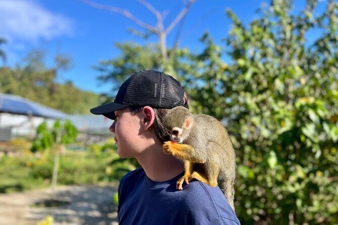 Damajagua Waterfalls and Monkey Private Van Tour - Good To Know