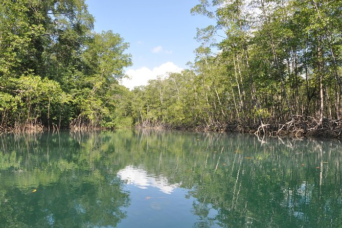 Damas Island Mangrove Boat Tour From Manuel Antonio - The Sum Up