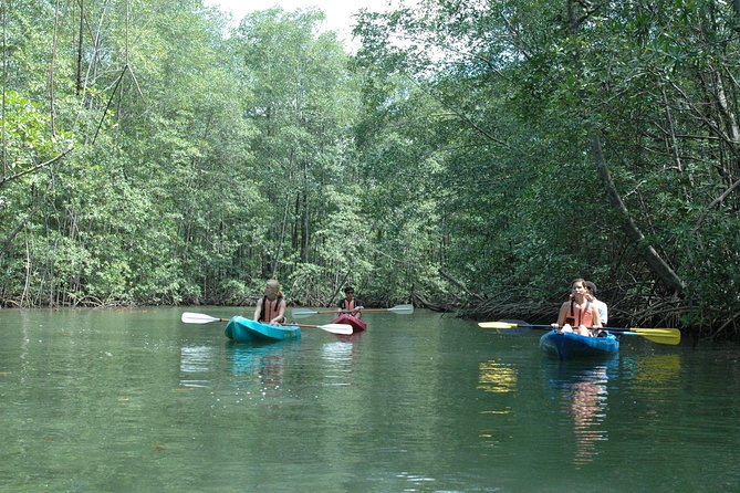 Damas Island Mangrove Kayaking Tour From Jacó - Tour Highlights