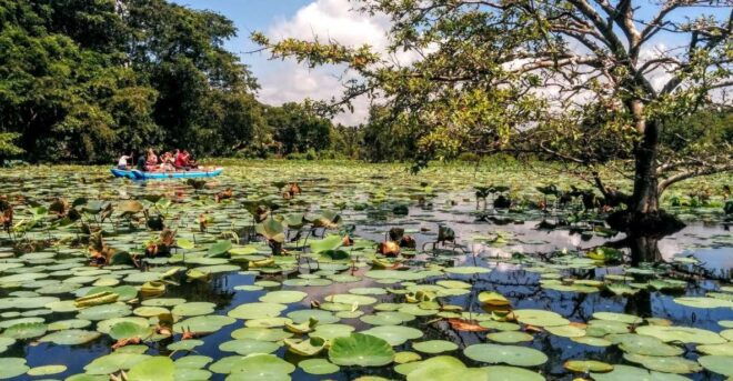 Dambulla: Cave Temple & Hiriwadunna Village Tour With Lunch - Full Description