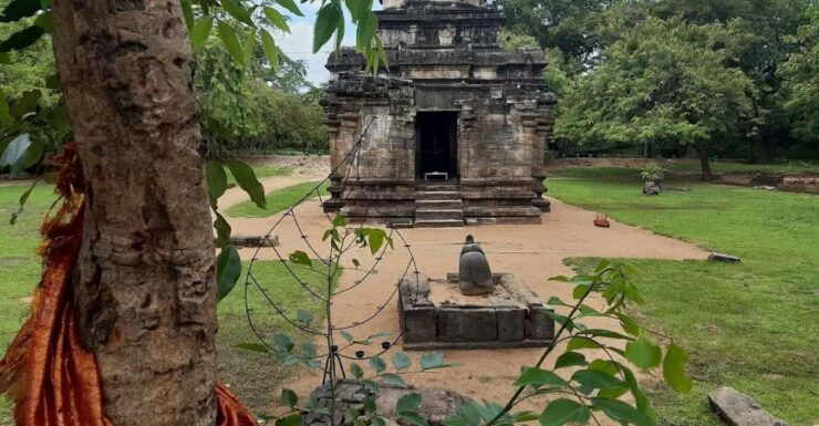 Dambulla & Polonnaruwa Ancient City: Day Tour From Kandy - Good To Know