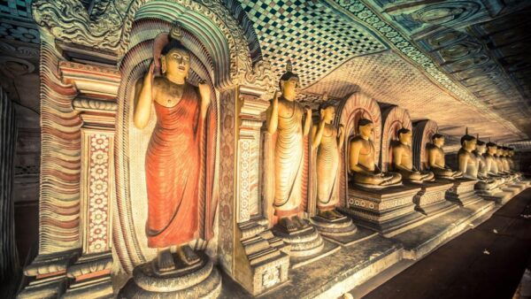 Dambulla & Polonnaruwa Ancient City: Day Tour From Kandy - Booking and Cancellation Policy