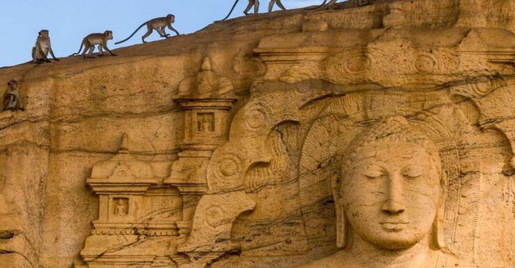 Dambulla: Polonnaruwa & Sigiriya All-Inclusive Tour - Tour Highlights