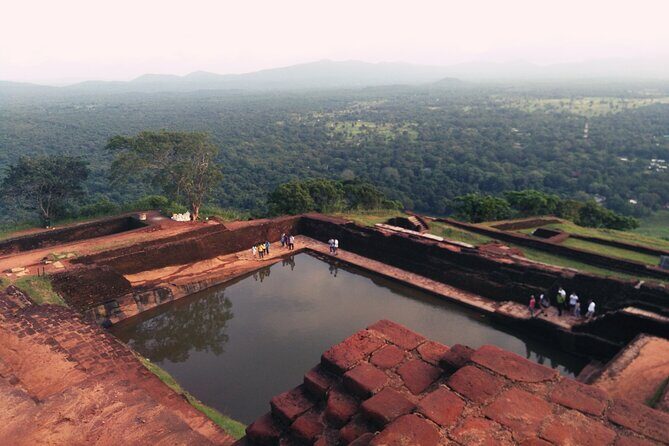 Dambulla, Sigiriya and National Park Safari Tour from Kandy - Wildlife Safari at Minneriya National Park