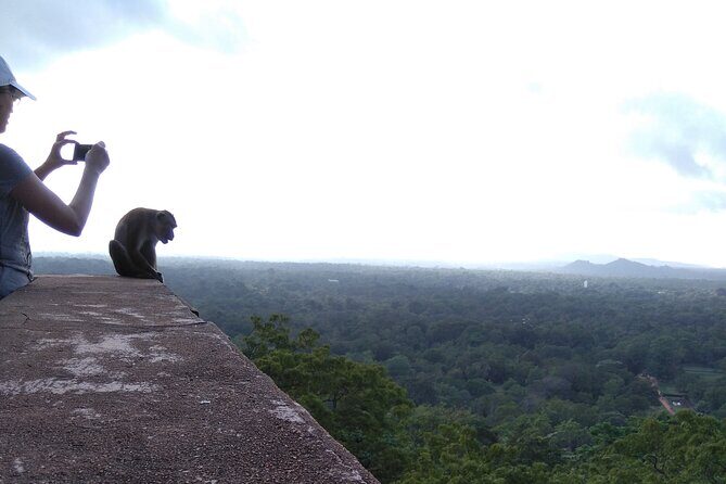 Dambulla, Sigiriya and National Park Safari Tour from Kandy - Practical Considerations and Tips