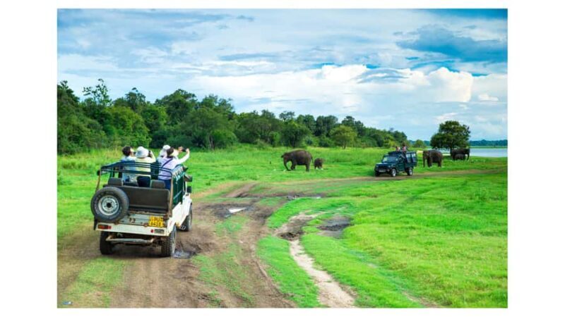 Dambulla: Sigiriya, Cave temple, Safari & Lunch Private Tour - Final Thoughts