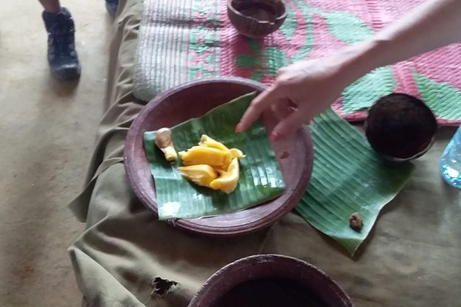 Dambulla & Sigiriya Day Tour From Colombo / Negombo With Lunch - Traveler Reviews