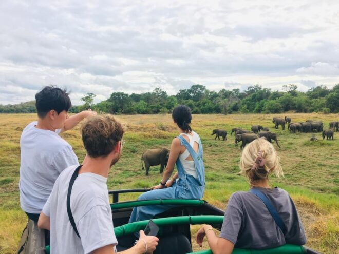 Dambulla/Sigiriya/Habarana: Minneriya National Park Safari - Wildlife and Scenic Highlights