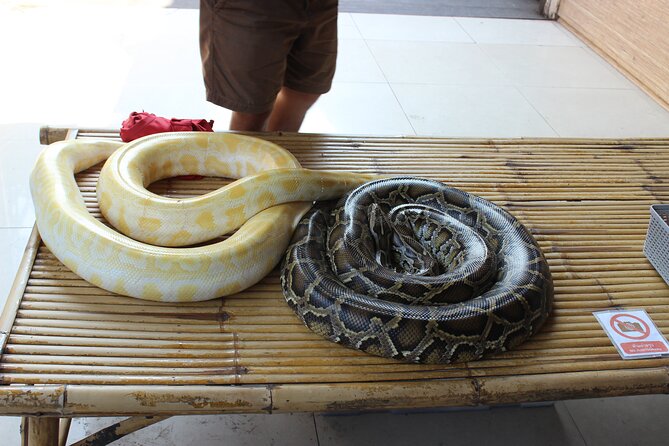 Damnoen Floating Market Trip With Optional Erawan Waterfall Visit - Exclusions