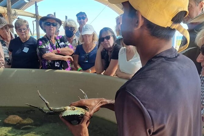 Dampier Peninsula & Aboriginal Communities From Broome (Optional Scenic Flight) - Customer Feedback: Positive Review of the Tour and Enjoyment of Aboriginal Community and Hatchery Visits