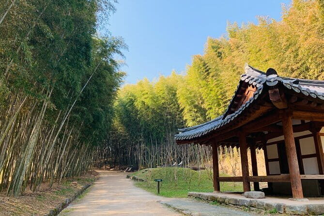 Damyang Bamboo Forest Tour (Private) - Exploring the Heart of Damyang: A Nature and Culture Tour