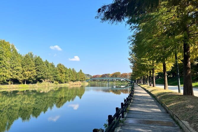 Damyang Bamboo Forest Tour (Private) - An In-Depth Look at the Damyang Bamboo Forest Tour