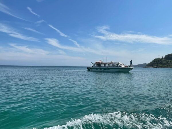 Danang/Hoi An: Cham Island & Snorkeling Full Day - Customer Feedback