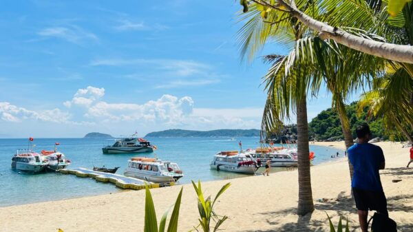 Danang/Hoi An: Cham Island & Snorkeling Full Day - Travel Tips