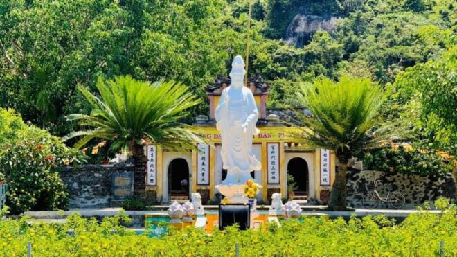 Danang/ Hoi An: the Cham Islands Snorkeling Trip - Leisure Activities