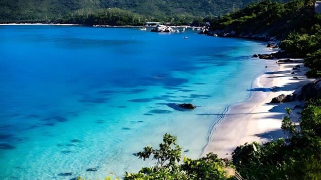 Danang/ Hoi An: the Cham Islands Snorkeling Trip - Local Attractions
