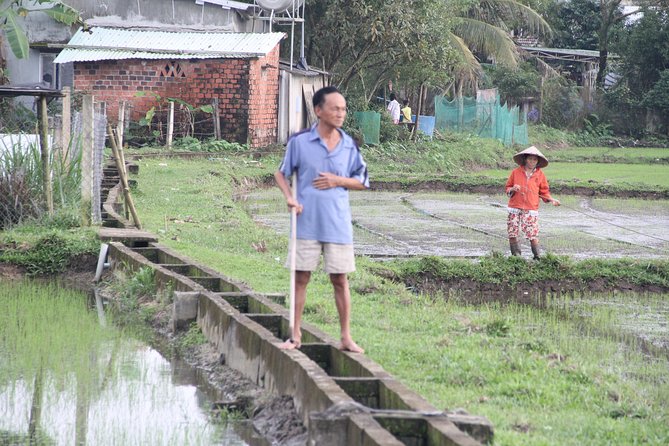 Danang US Army Jeep Tour My Son Sanctuary With Lunch - Common Questions
