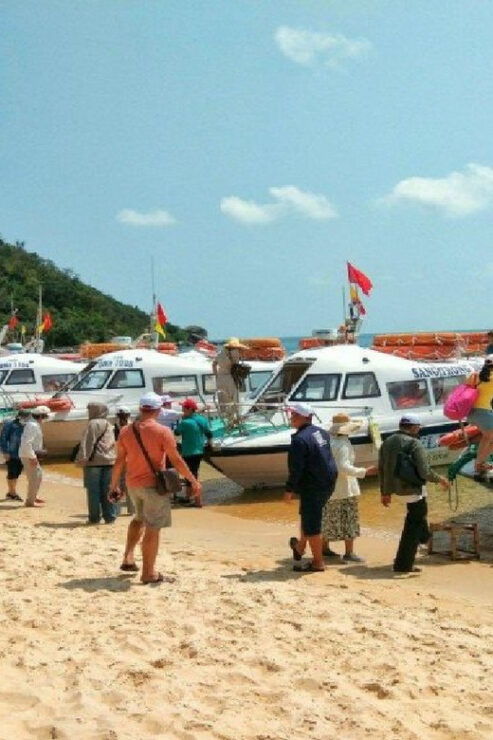 Danang:Cham Islands, Basket Boat & Hoi An Ancient Town - Cham Islands Activities