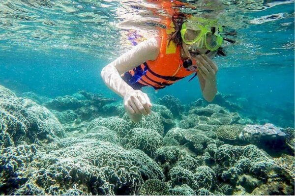 Danang:Cham Islands, Basket Boat & Hoi An Ancient Town - Group Type and Languages