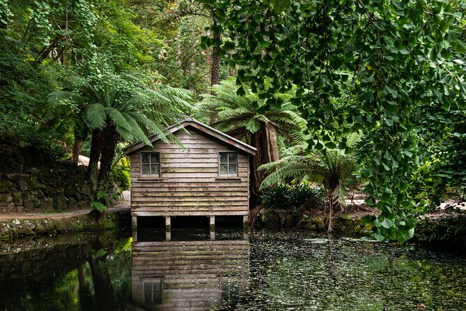 Dandenong Ranges Private Day Tour - Final Thoughts