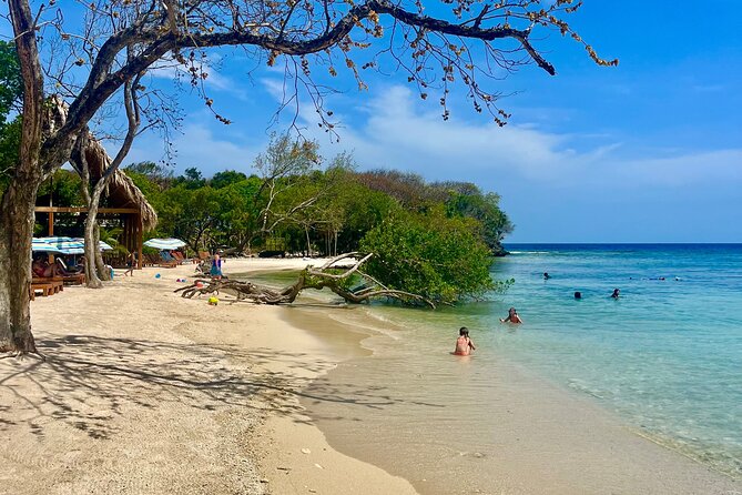 Daniel Johnson Monkey and Sloth Sanctuary and Beach in Roatan - Reviews and Directions