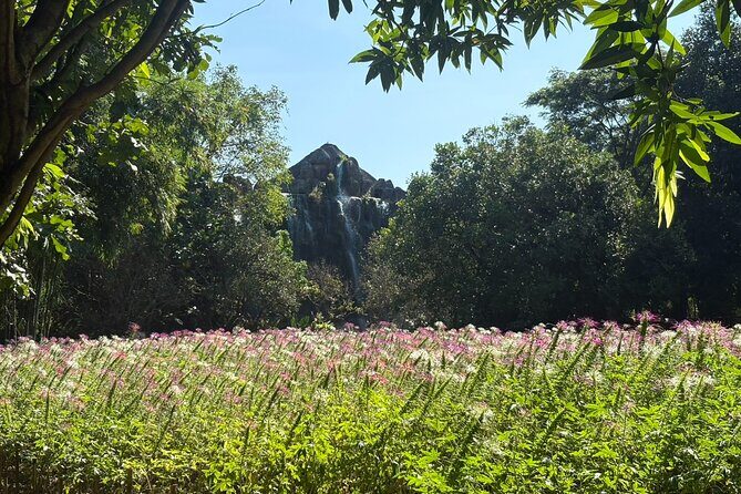 Dantewada Land of Angels and Sticky Waterfall Tour with Guide - The Guides Make a Difference