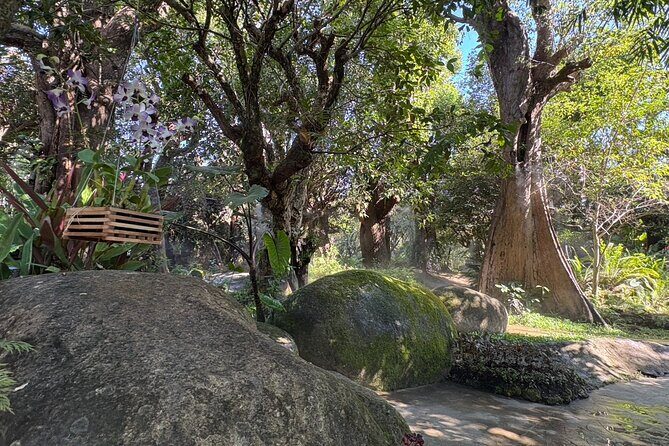 Dantewada Land of Angels and Sticky Waterfall Tour with Guide - Practical Details and Value