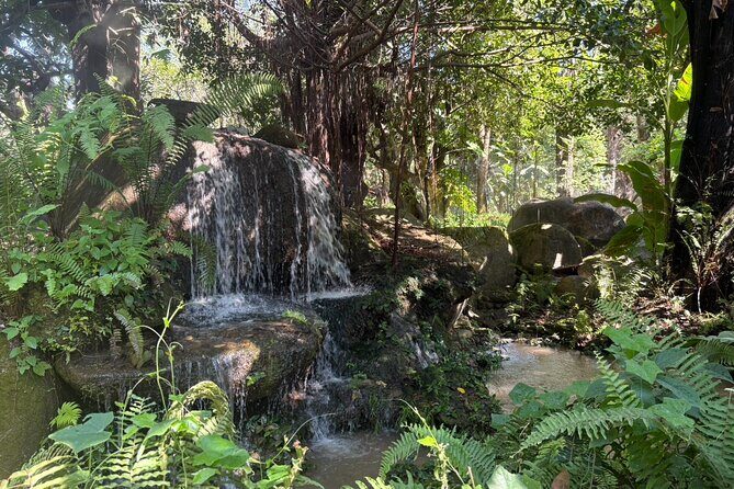 Dantewada Land of Angels and Sticky Waterfall Tour with Guide - The Sum Up