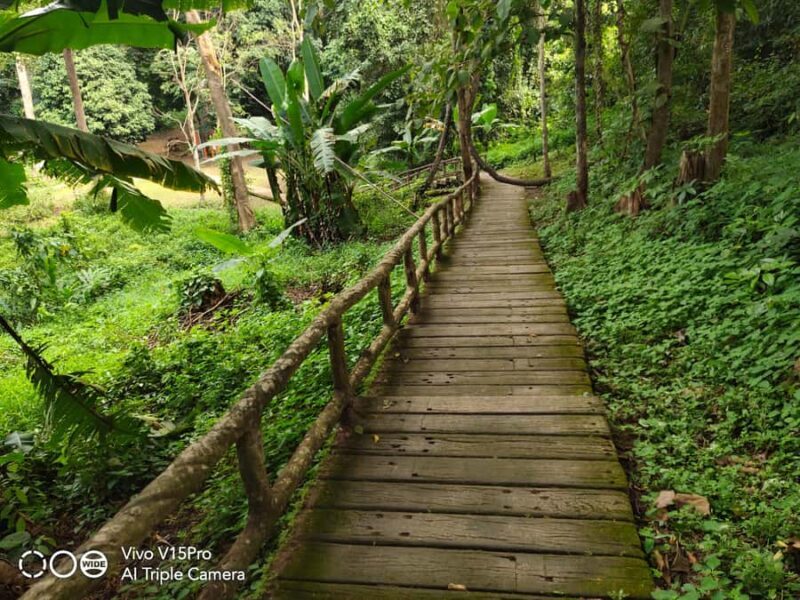 Dantewada, Sticky waterfalls, Wat banden, Paddy rice-field. - The Itinerary in Detail: What Makes Each Stop Special