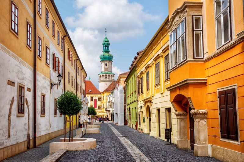 Danube Bend Day Tour from Budapest - Guides, group pace, and comfort