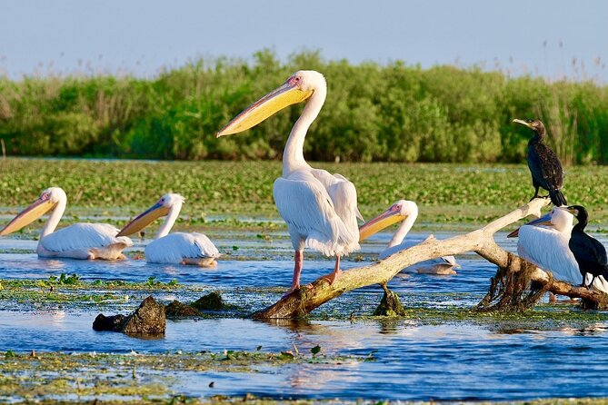 Danube Delta and Black See - 2 Days Private Tour From Bucharest - Itinerary Overview