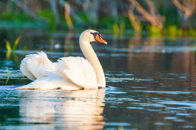 Danube Delta and Black See - 2 Days Private Tour From Bucharest - Transportation Logistics