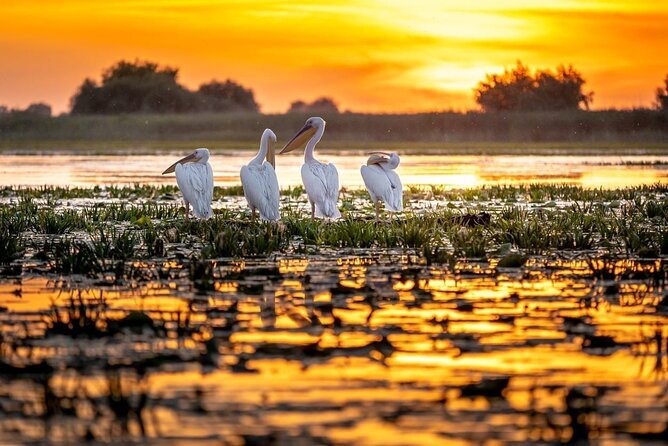Danube Delta and Black See - 2 Days Private Tour From Bucharest - Guide Information
