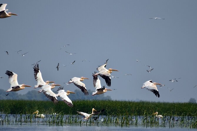 Danube Delta and Black See - 2 Days Private Tour From Bucharest - Booking and Confirmation Process