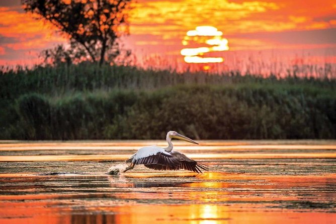 Danube Delta Private Tour - 2 Days From Bucharest - Itinerary Overview