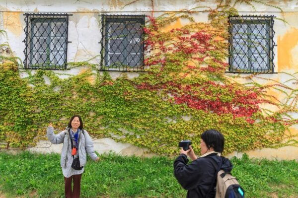 Danube Valley Delights: A Vienna Day Adventure - Frequently Asked Questions