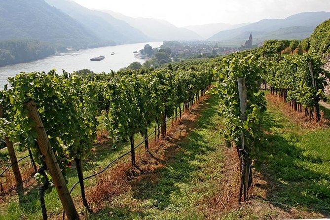 Danube Valley Private Tour With Melk Abbey Skip-The-Line Access From Vienna - Questions and Contact Information