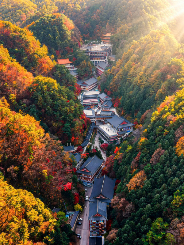 Danyang The Hidden Gem of Korea One Day Tour From Seoul - What to know before you go