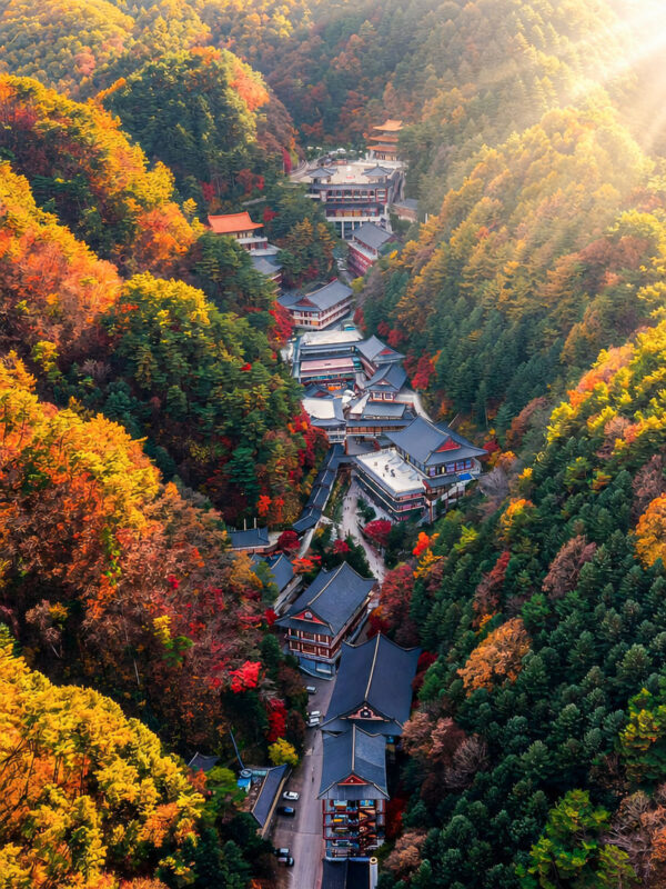 Danyang The Hidden Gem of Korea One Day Tour From Seoul - A guide can make the road time count