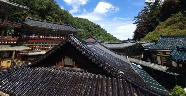 Danyang Tour:Guinsa Temple & Bobaljae & Hidden Maple Field - Important Tour Guidelines