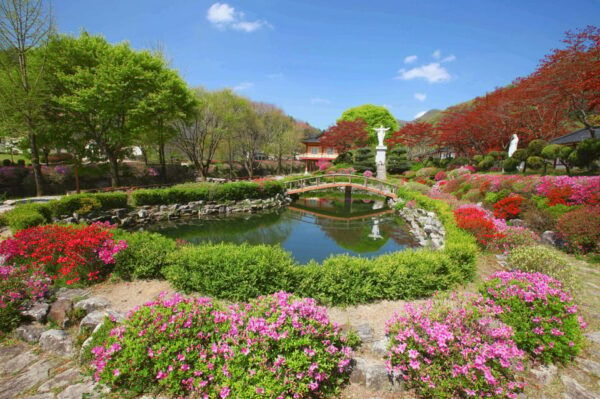 Danyang Tour:Guinsa Temple & Bobaljae & Hidden Maple Field - Accessibility Considerations