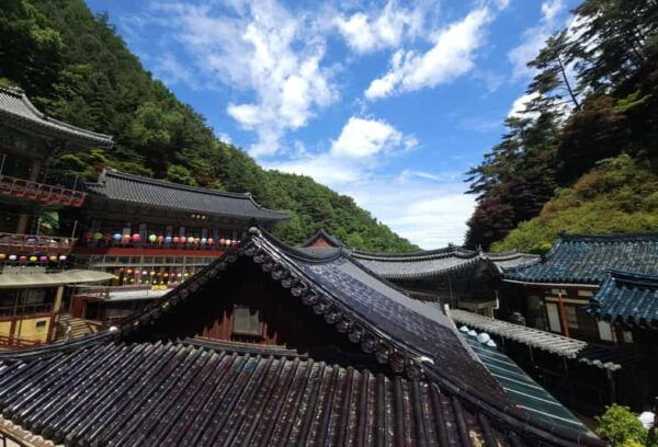 Danyang Tour:Guinsa Temple & Bobaljae & Hidden Maple Field - Booking and Cancellation Policy
