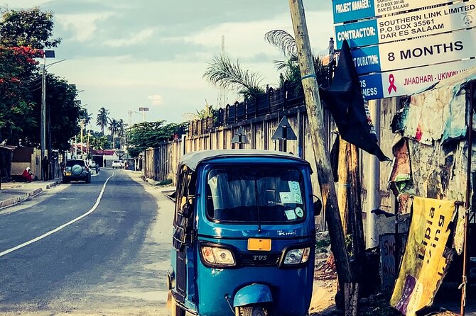 Dar Es Salaam City Sightseeing Private Tour - Booking Information