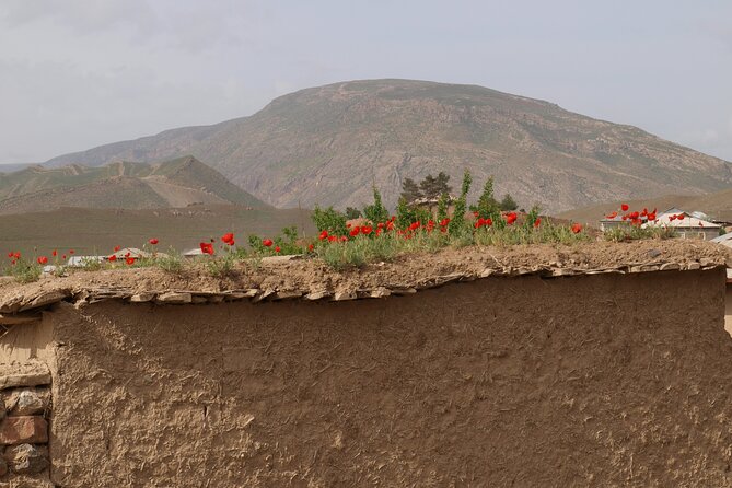 Darband-Boyson Uzbekistan Mountain Trekking 3-Day Private Tour From Samarkand - Cancellation Policy Details