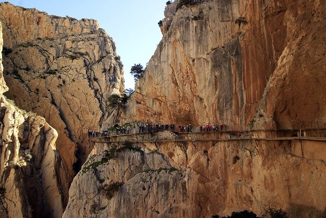 Dare to Take a Walk Along the Caminito Del Rey Path Private Tour From Malaga - Customer Reviews